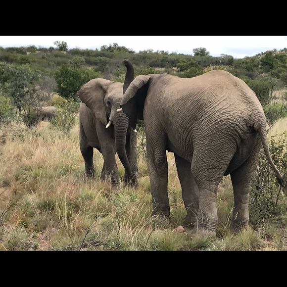 Meet Your Posher - Picture 13 of 14